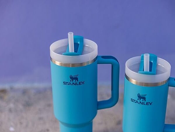 Stanley Quencher 30 oz