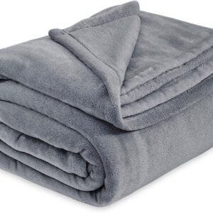 Bedsure Microfiber Fleece Lightweight Blanket Queen Size Blankets